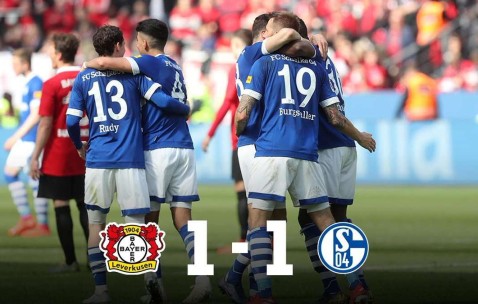 九游网站入口官网 - 审议工会工作报告发言 