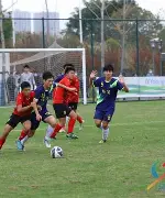  棒球夜战：蓬莱飞鹰队大胜岭南犀牛队，临门一脚致胜定海神针仍在