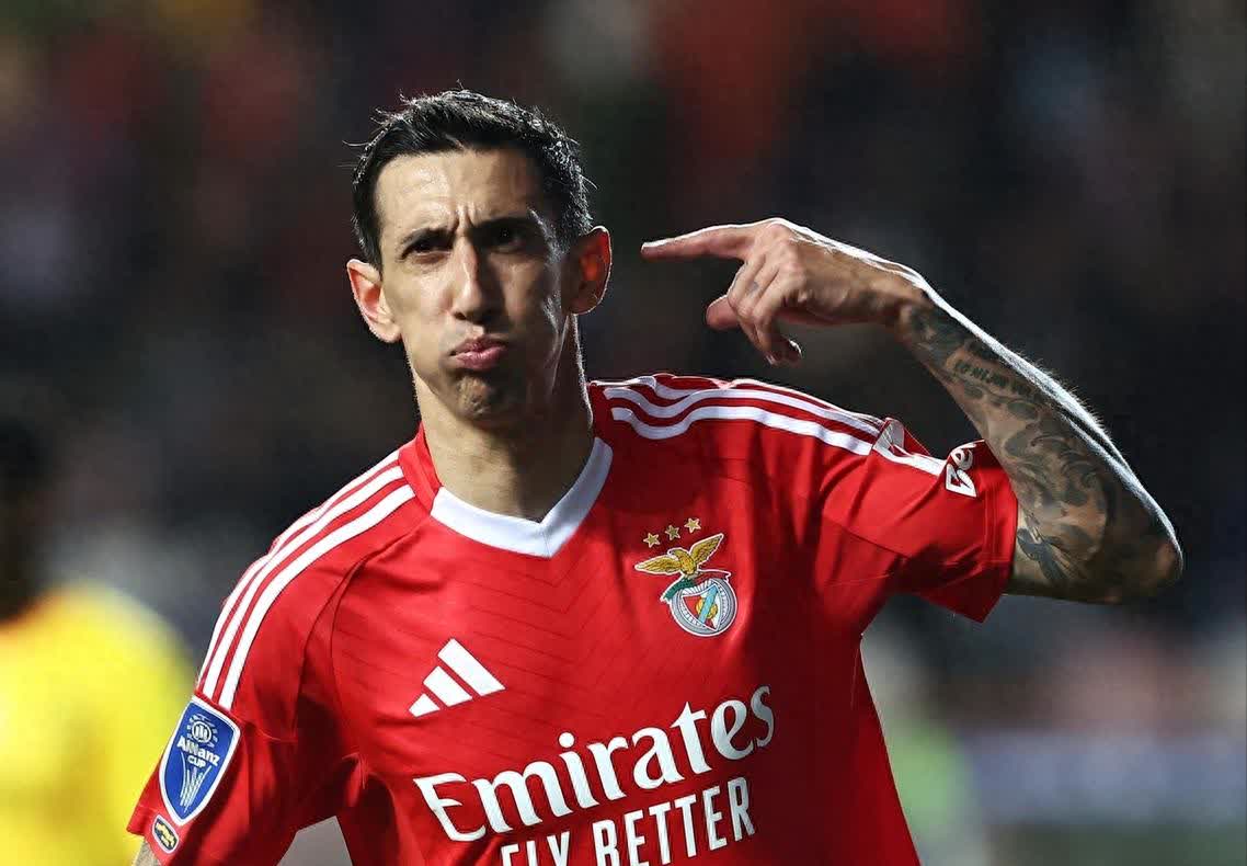 关键时刻法国杯焦点战，本菲卡完成体检，态度坚定，更衣室氛围转暖(本菲卡vs切尔西)